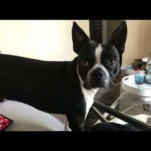 Meet your Posher, Jackie